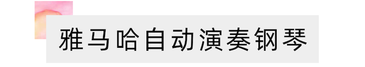 活动报道 | 远程艺术教育大师课活动——庄闲和游戏特邀艺术家张奕明大师课